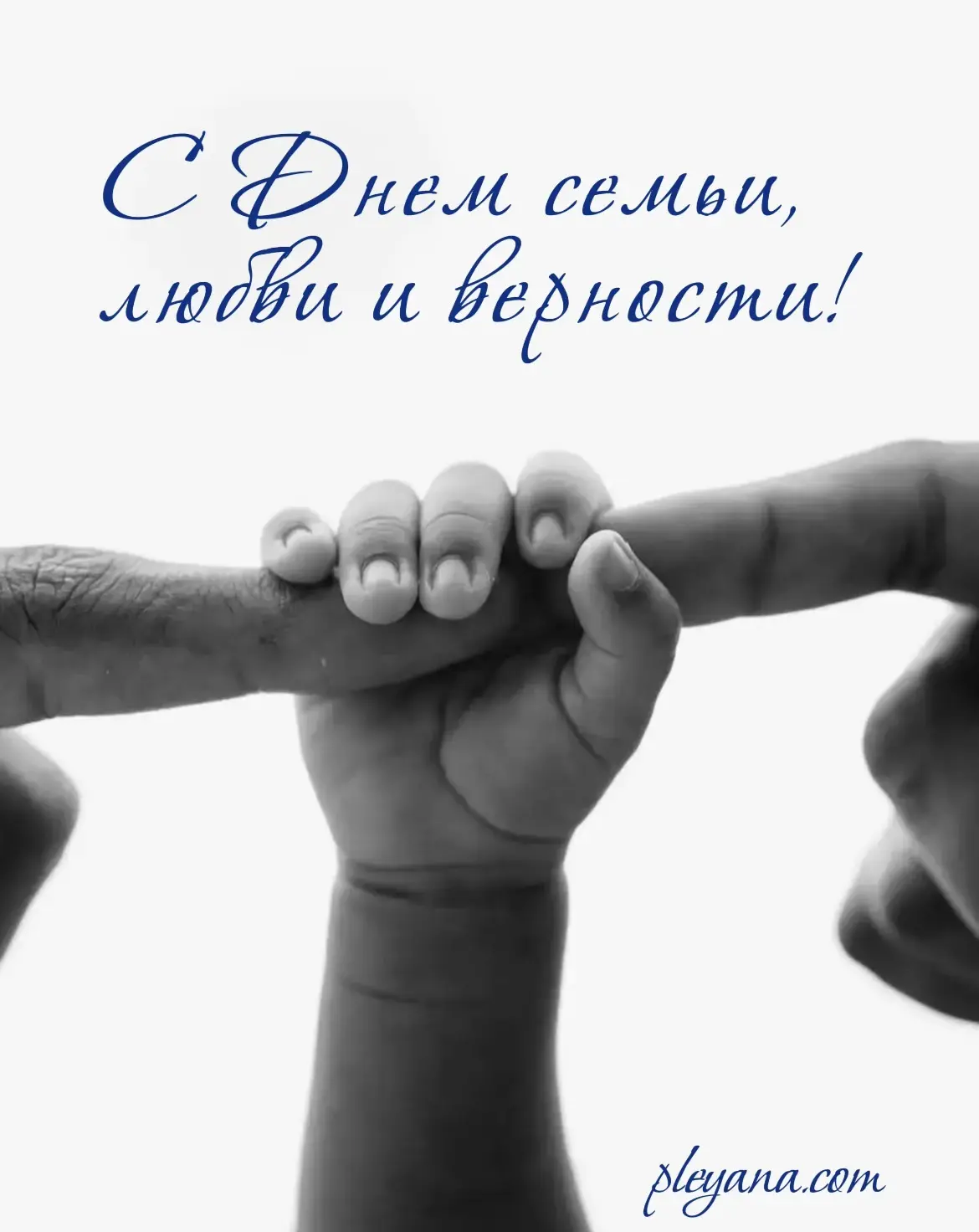 С Днём семьи, любви и верности! С Днём семьи, любви и верности!